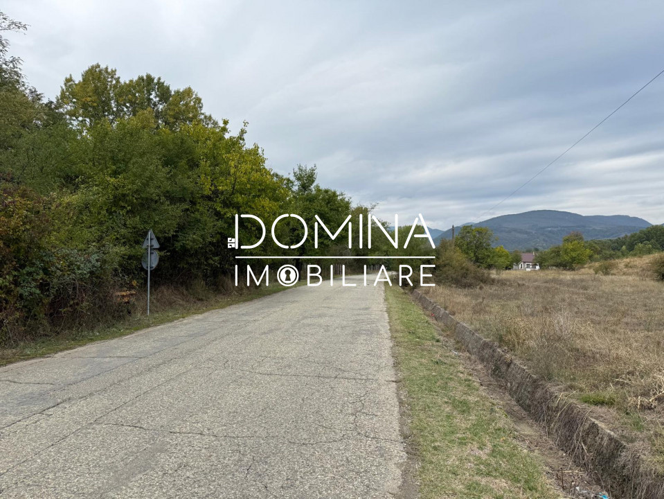 Vânzare teren 13.000 mp - Runcu-Suseni - oportunitate turistică