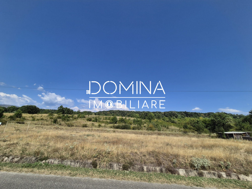 Vânzare teren 13.000 mp - Runcu-Suseni - oportunitate turistică