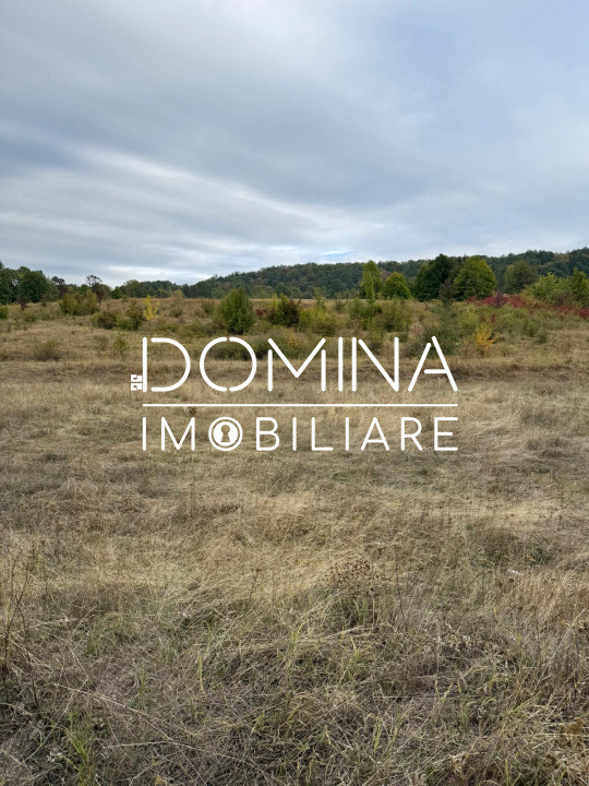 Vânzare teren 13.000 mp - Runcu-Suseni - oportunitate turistică