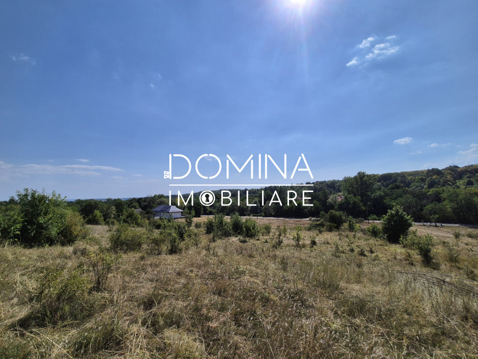 Vânzare teren 13.000 mp - Runcu-Suseni - oportunitate turistică