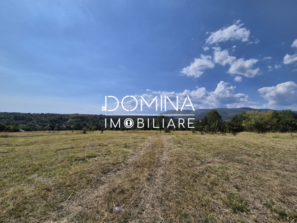Vânzare teren 13.000 mp - Runcu-Suseni - oportunitate turistică