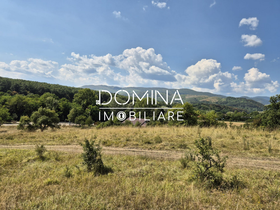 Vânzare teren 13.000 mp - Runcu-Suseni - oportunitate turistică