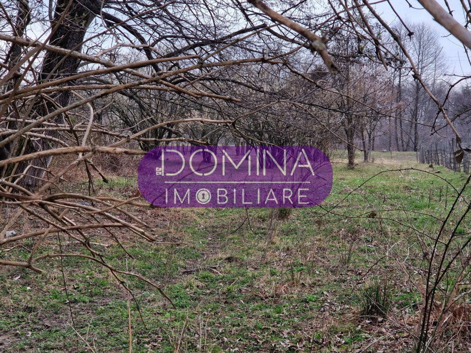 Vânzare teren situat în Oraș Novaci, strada Parângului - la DN 67 C