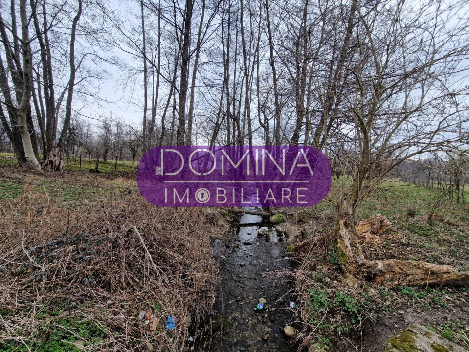 Vânzare teren situat în Oraș Novaci, strada Parângului - la DN 67 C