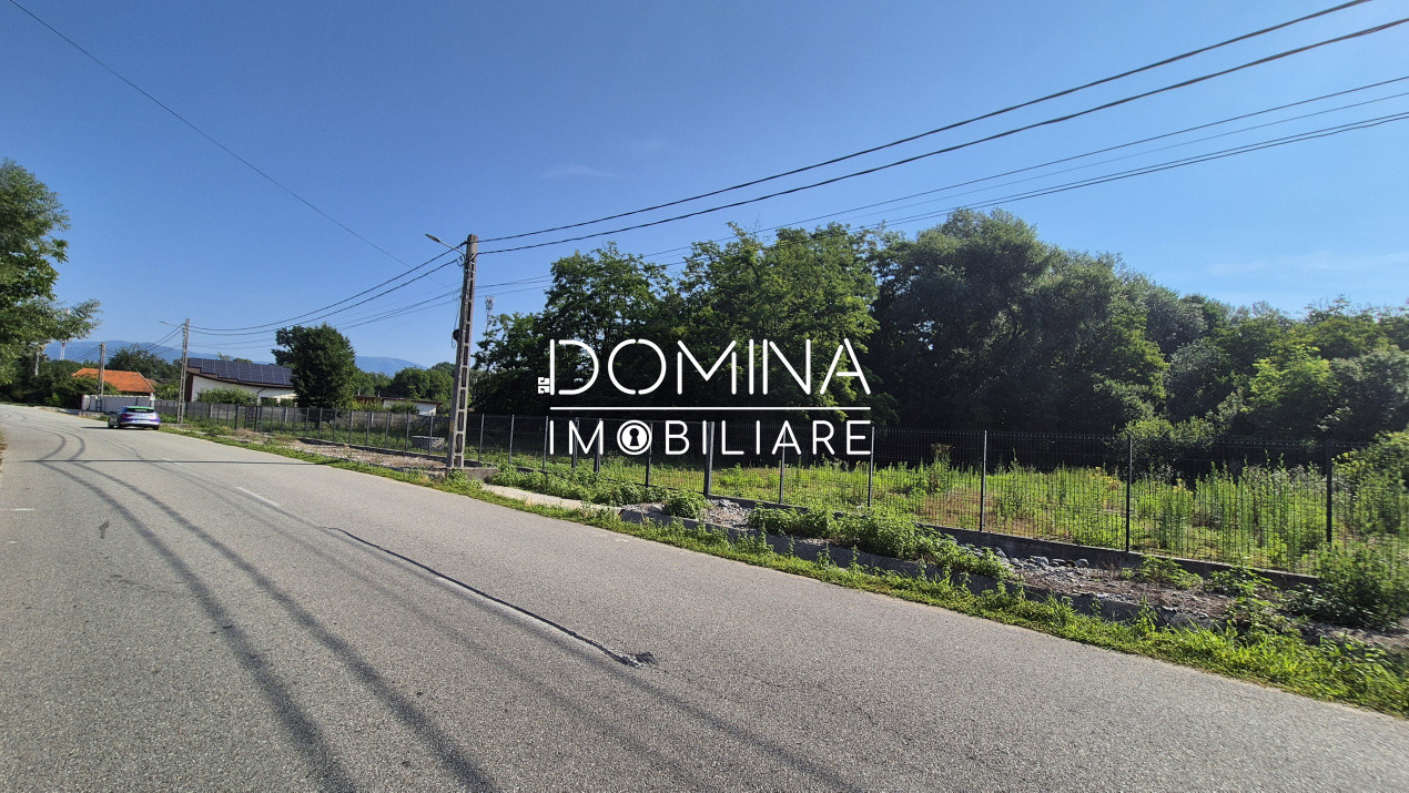 Vânzare teren 3.175 mp, front 66 m.l., comuna Peștișani - sat Brădiceni 