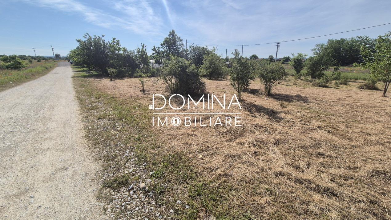 Vânzare teren intravilan 801 mp, deschidere 30 m.l. – Strada Slobozia