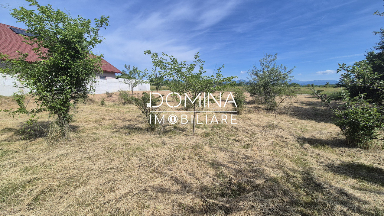 Vânzare teren intravilan 801 mp, deschidere 30 m.l. – Strada Slobozia