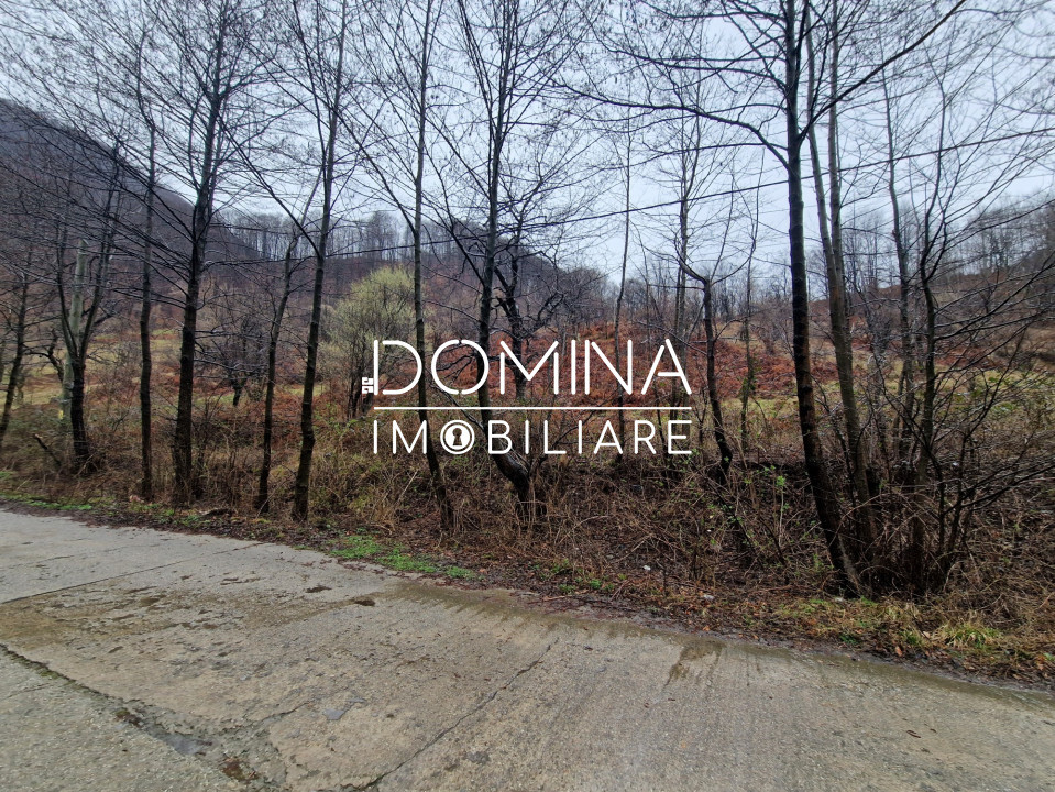 Vânzare teren,  situat în  Comuna Peștișani , sat Gureni - zonă de munte