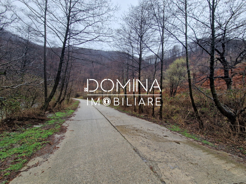 Vânzare teren,  situat în  Comuna Peștișani , sat Gureni - zonă de munte