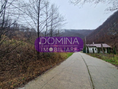 Vânzare teren,  situat în  Comuna Peștișani , sat Gureni - zonă de munte