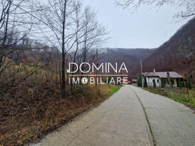 Vânzare teren,  situat în  Comuna Peștișani , sat Gureni - zonă de munte
