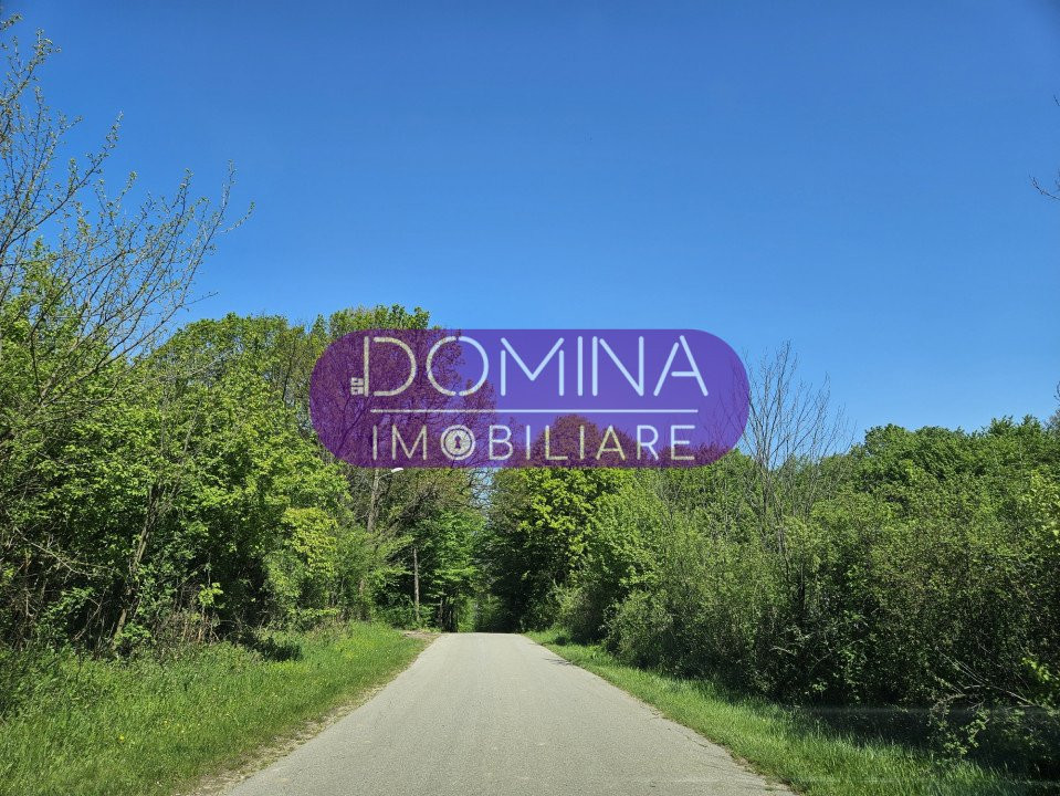 Vânzare casă și teren situate în  Drăguțești, sat Tîlvești - zonă liniștită