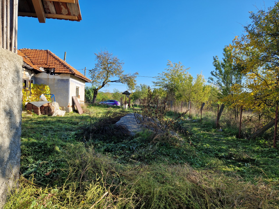Vânzare proprietate situată în Comuna Dănești, sat Ungureni