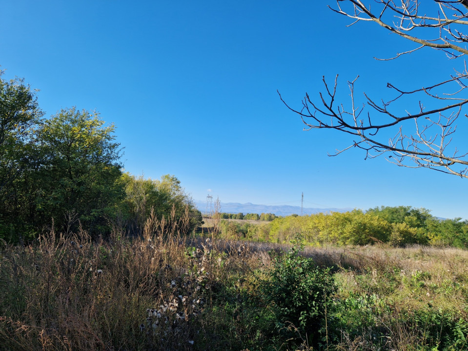 Vânzare proprietate situată în Comuna Dănești, sat Ungureni