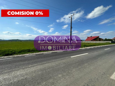 Vânzare teren extravilan situat în Târgu Jiu, strada Panduri 