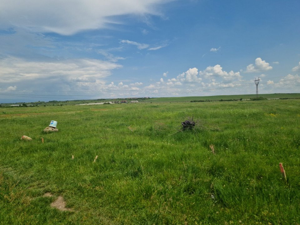 Vânzare teren extravilan situat în Târgu Jiu, strada Ciocârlău