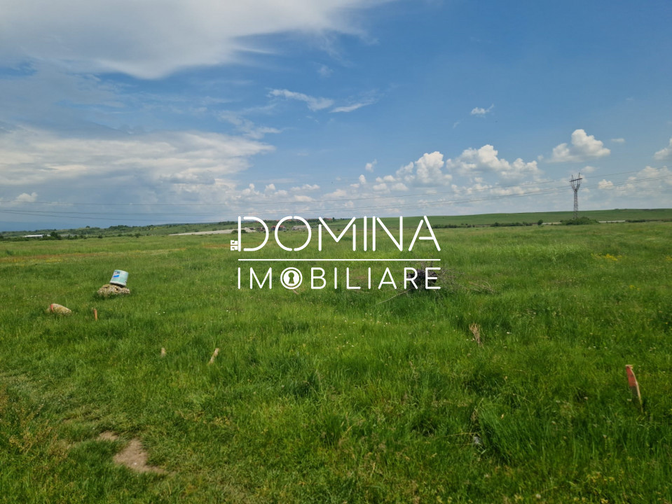 Vânzare teren extravilan situat în Târgu Jiu, strada Ciocârlău