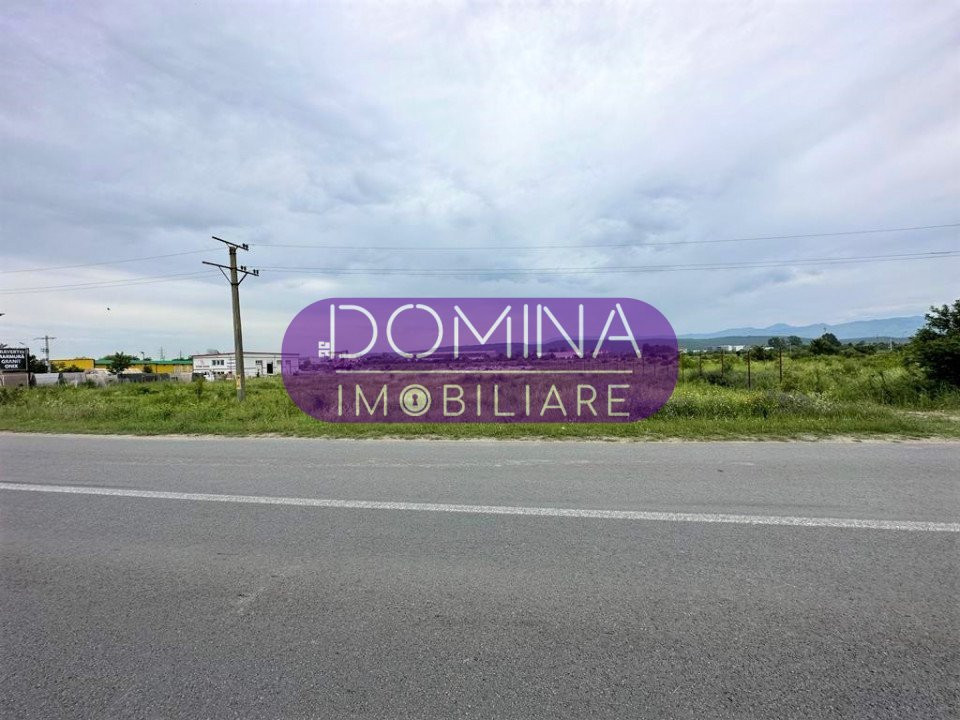 Vânzare teren intravilan 5246 mp, situat în Târgu Jiu, strada Narciselor