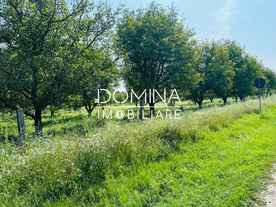 Vânzare teren situat în Târgu Jiu, Calea Tismanei - la DN 67 D