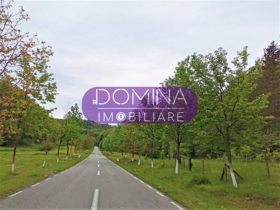 Vânzare casă + terenuri în apropierea orașului Târgu Cărbunești, sat Curteana