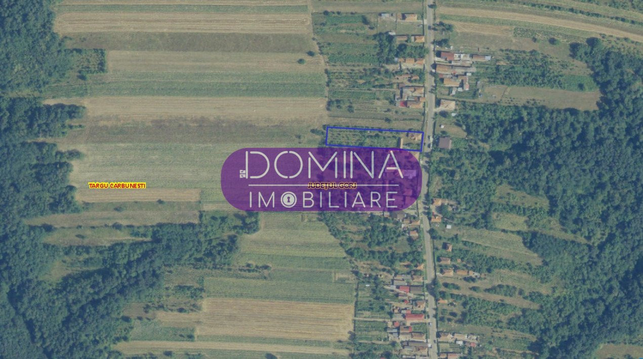 Vânzare casă + terenuri în apropierea orașului Târgu Cărbunești, sat Curteana