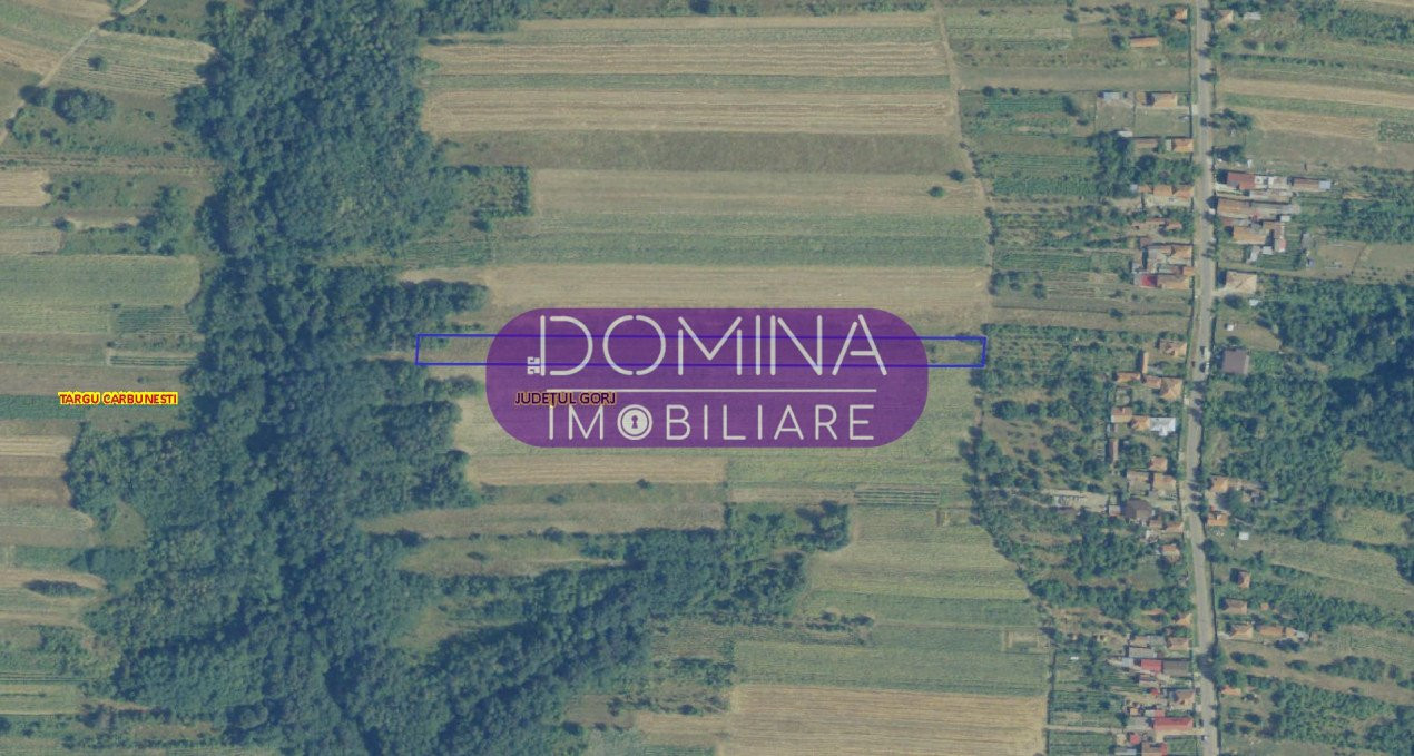 Vânzare casă + terenuri în apropierea orașului Târgu Cărbunești, sat Curteana