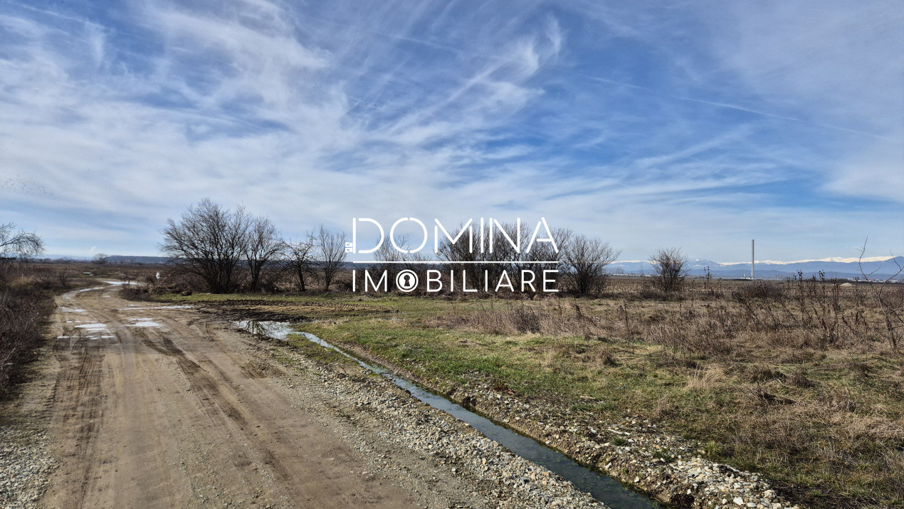 Vânzare teren - la 6 km de Tg. Jiu - situat în Sat Bucureasa, Comuna Dănești