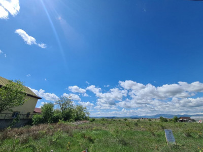 Vânzare loturi teren intravilan, situate în cartier Preajba, str. Frăsinetului