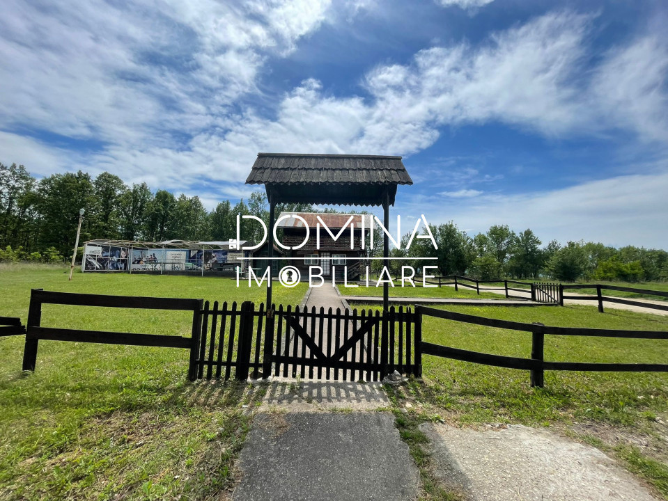 Vânzare teren *oportunitate investiție* situat în Cărbunești-Sat, la DN 67B