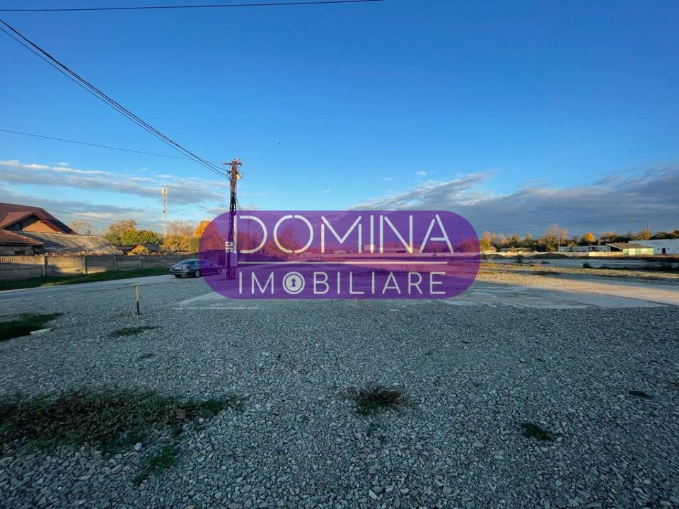 Vânzare teren *cu multiple posibilități de exploatare* - la DN 66 - Romanești