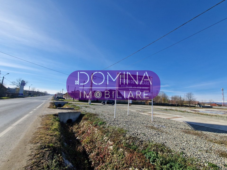 Vânzare teren *cu multiple posibilități de exploatare* - la DN 66 - Romanești