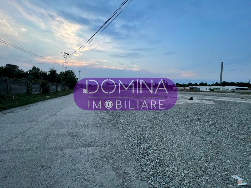 Vânzare teren *cu multiple posibilități de exploatare* - la DN 66 - Romanești