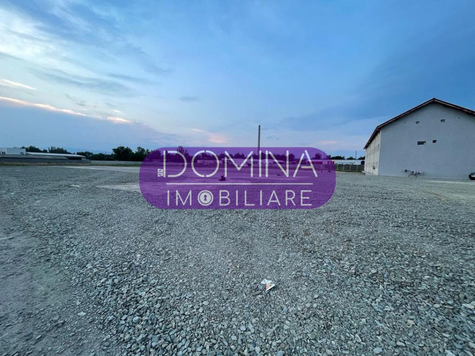 Vânzare teren *cu multiple posibilități de exploatare* - la DN 66 - Romanești