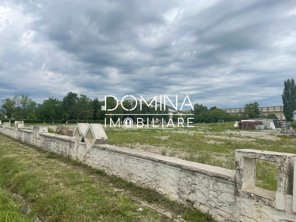 Închiriere teren intravilan, vad comercial, situat în Bârsești, la DN 67 D