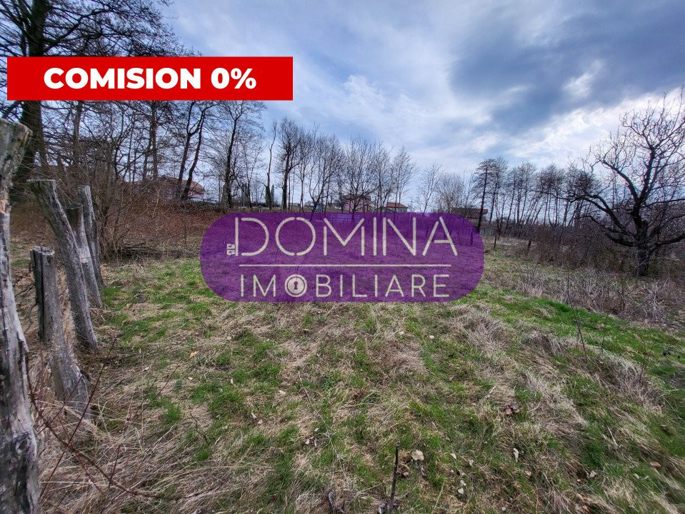 Vânzare teren intravilan, situat în Comuna Runcu, sat Bâltișoara