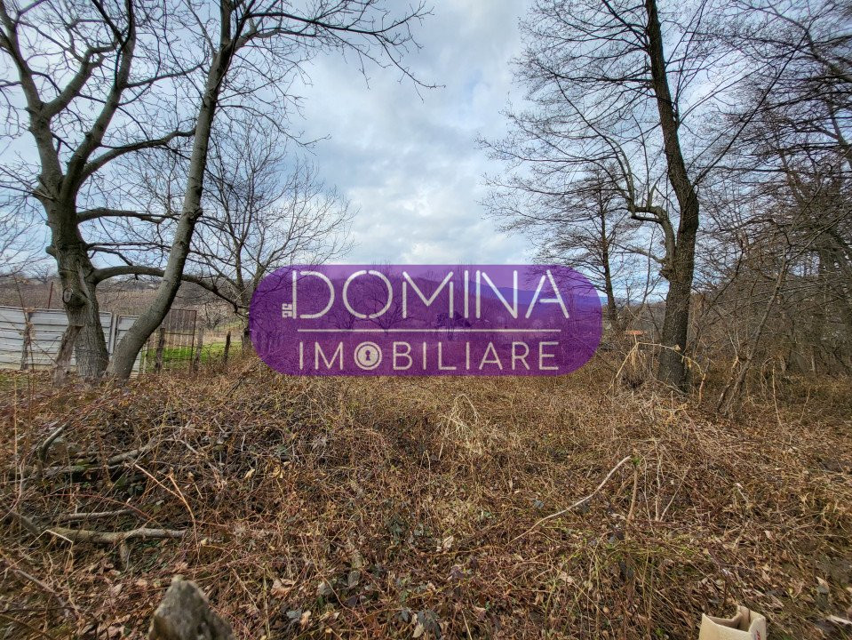 Vânzare teren intravilan, situat în Comuna Runcu, sat Bâltișoara