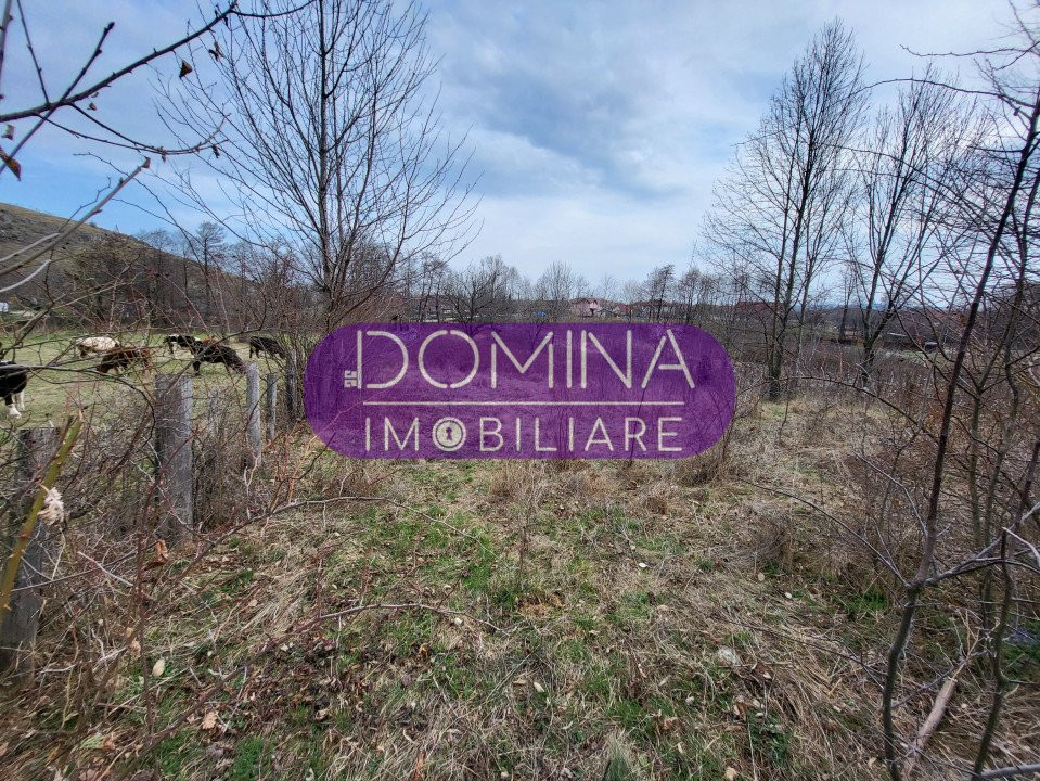 Vânzare teren intravilan, situat în Comuna Runcu, sat Bâltișoara