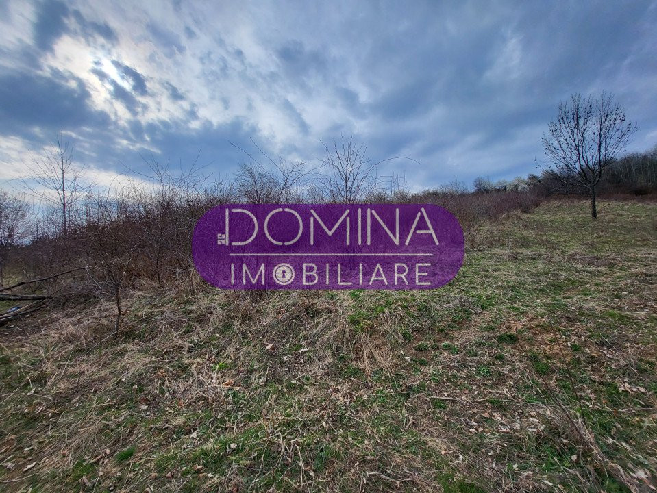 Vânzare teren intravilan, situat în Comuna Runcu, sat Bâltișoara