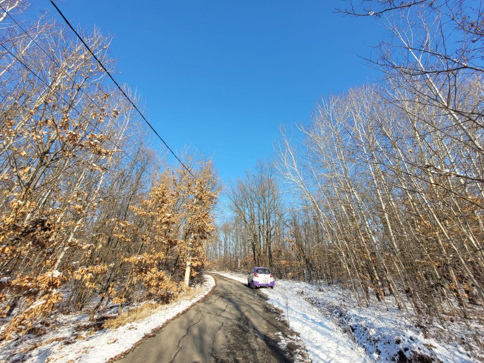 Vânzare teren intravilan situat în comuna Scoarța, sat Pișteștii din Deal