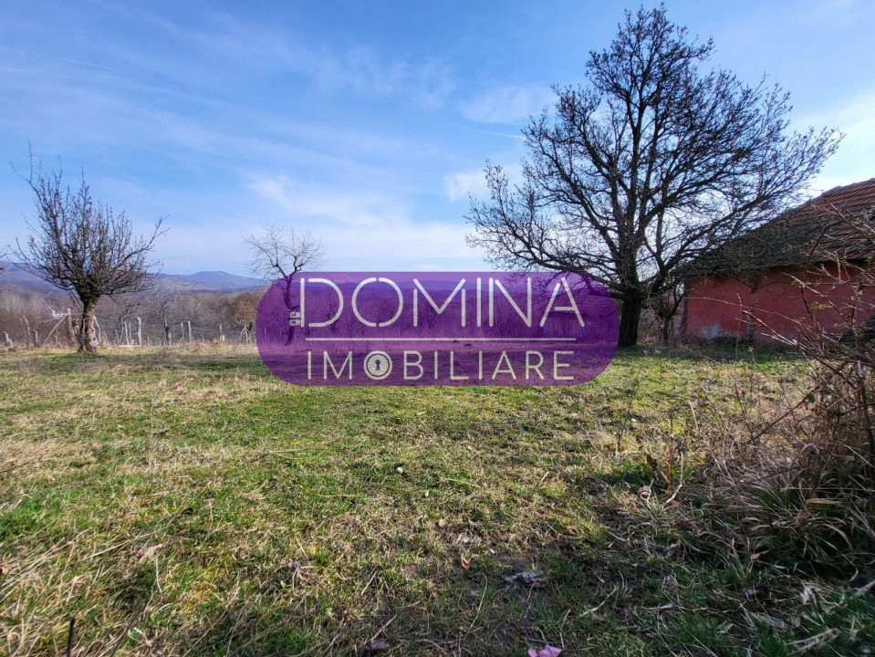 Vânzare teren 4485 mp, situat în Comuna Turcinești, Sat. Horezu