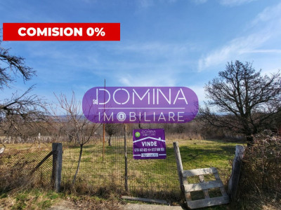 Vânzare teren 4485 mp, situat în Comuna Turcinești, Sat. Horezu