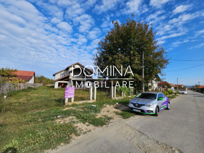Vânzare casă construcție nouă, situată în Comuna Peștișani, sat Frâncești