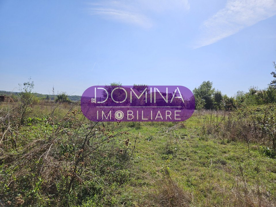 Vânzare teren intravilan, situat în Târgu Cărbunești