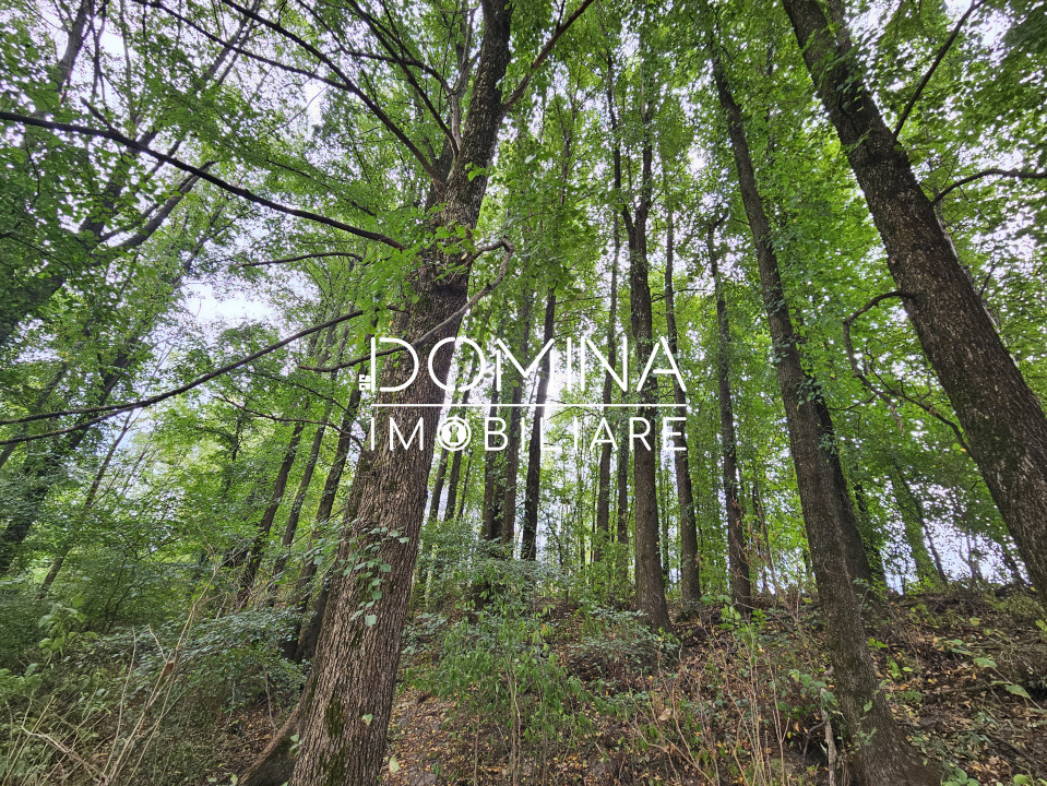 Vânzare teren intravilan suprafață 5.822 mp,  în Tg. Jiu - cartier Iezureni 