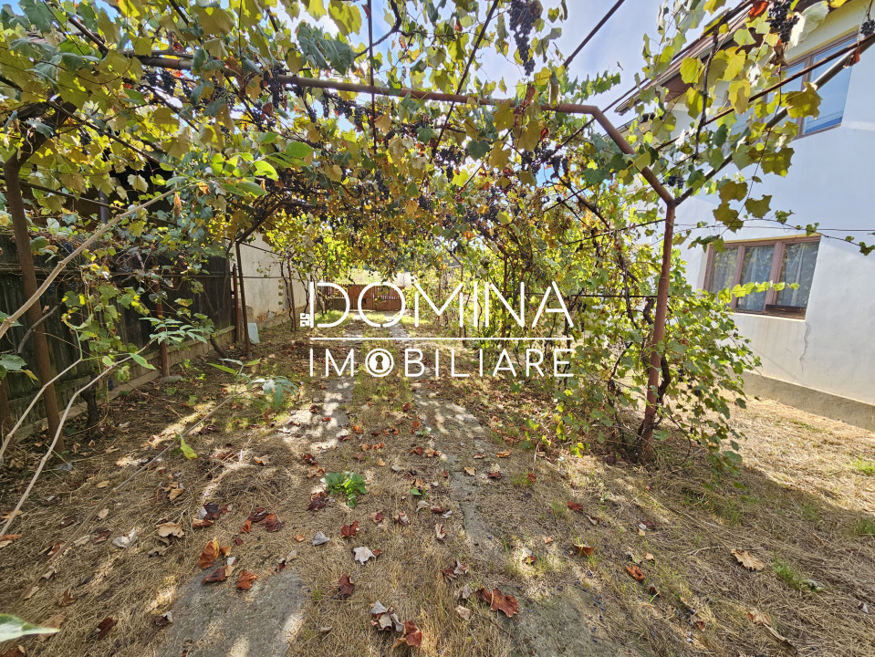 Vânzare casă P+1, în comuna Dănești, sat Șasa - la 10 km distanță de Tg. Jiu