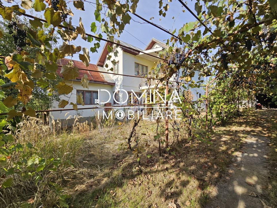 Vânzare casă P+1, în comuna Dănești, sat Șasa - la 10 km distanță de Tg. Jiu