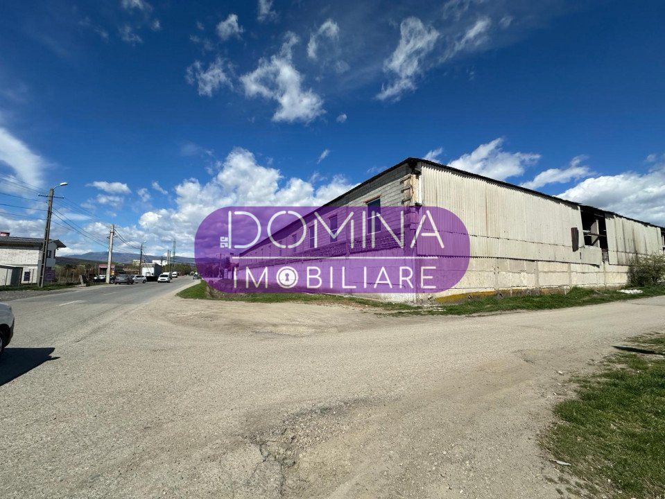 Vânzare teren + hale situate în Târgu Jiu, strada Ciocârlău - zona Artego