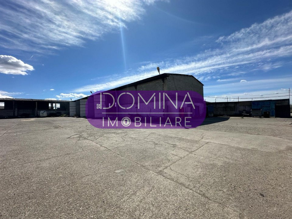 Vânzare teren + hale situate în Târgu Jiu, strada Ciocârlău - zona Artego