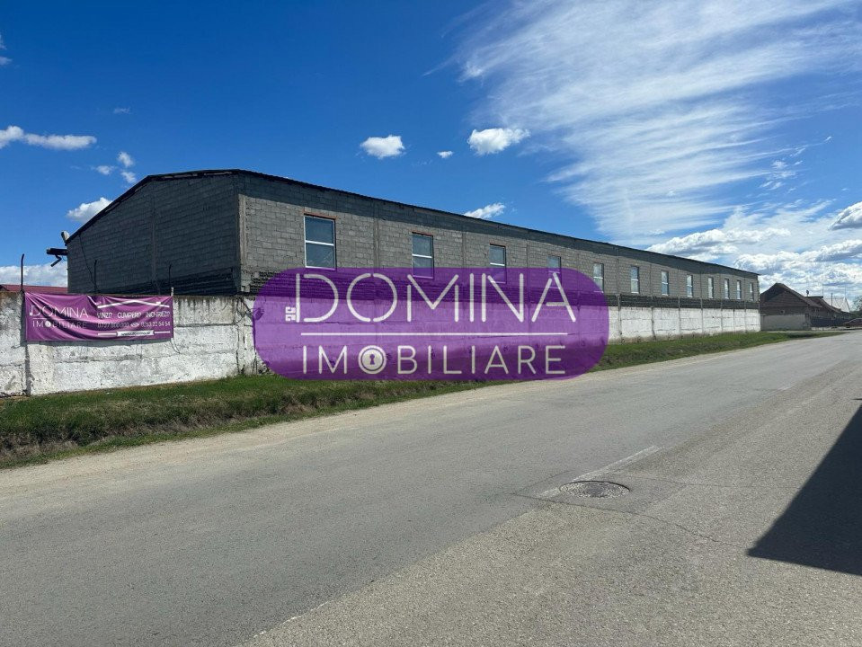 Vânzare teren + hale situate în Târgu Jiu, strada Ciocârlău - zona Artego