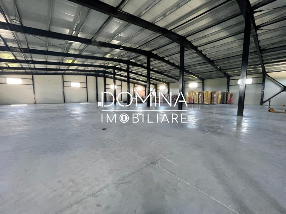 Închiriere hală industrială, situată în Târgu Jiu, strada Narciselor